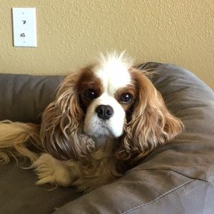 Meet your Posher, Analiese